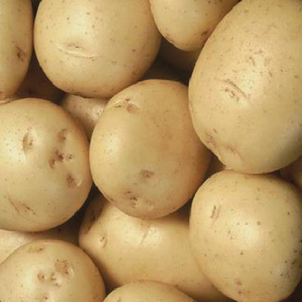 Colleen potatoes 10kg