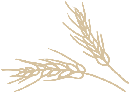 Grain Icon